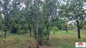 Casa parter si mansarda zona Unirii- Dara cu teren  - imagine 9