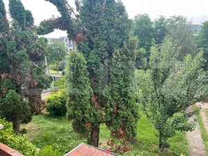 Casă cu 3 camere pe Str. Negoiului, teren 2.560 mp, vedere panoramică - imagine 5