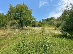 Casă cu 3 camere pe Str. Negoiului, teren 2.560 mp, vedere panoramică - imagine 6