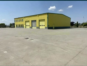 Pecica, 12000 mp platforma, inchiriere lunga durata, - imagine 14