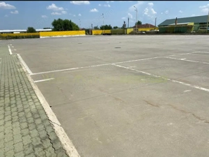 Pecica, 12000 mp platforma, inchiriere lunga durata, - imagine 3