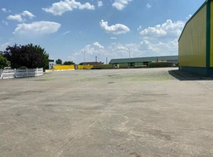 Pecica, 12000 mp platforma, inchiriere lunga durata, - imagine 5