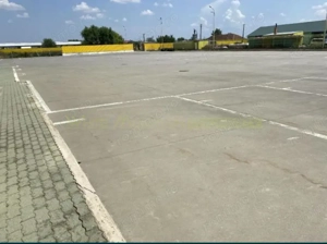 Pecica, 12000 mp platforma, inchiriere lunga durata, - imagine 8