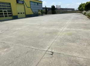 Pecica, 12000 mp platforma, inchiriere lunga durata, - imagine 13