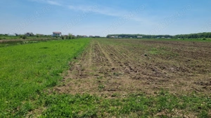 Vand teren langa padure - imagine 2 Vand teren langa padure - imagine 2