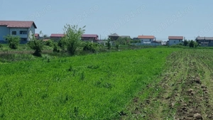 Vand teren langa padure