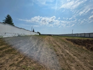 Teren de inchiriat 5000 mp Ciofliceni-Snagov -deschidere lac 36 mp - imagine 6