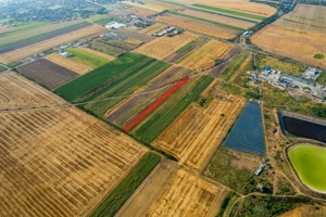 Teren 4.271 mp de vanzare  în Vladimirescu