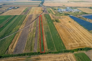 Teren 4.271 mp de vanzare  în Vladimirescu - imagine 5