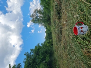 Teren intravilan Hobita- Gradistei