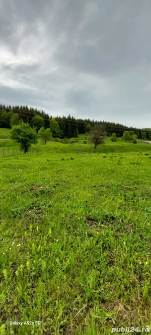 Teren intravilan 3.465 mp Poduri   acces Calea Brașovului   viitoare DN1 - imagine 3