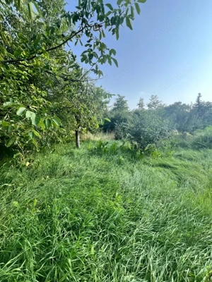 Casa individuala, 800 mp teren, Siret - imagine 13