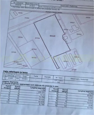 Pecica, jud Arad, 6ha teren de vanzare - imagine 5