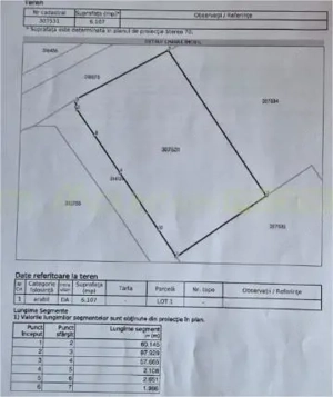Pecica, jud Arad, 6ha teren de vanzare - imagine 8