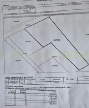 Pecica, jud Arad, 6ha teren de vanzare - imagine 6