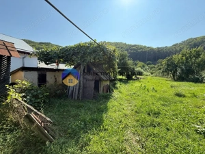  Casa bătrânească / Piatra Neamț / Pentru iubitorii de natură - imagine 4