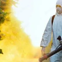 Agent DDD (dezinsectie, dezinfectie,deratizare)