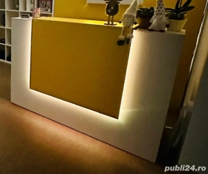 Vand mobilier receptie 