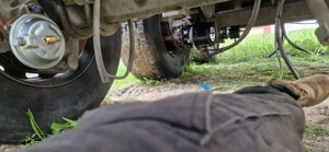 Vand Bena cereale 51m  - imagine 9