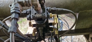 Vand Bena cereale 51m  - imagine 10