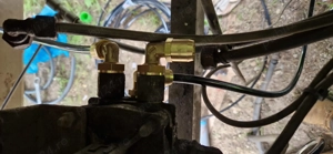 Vand Bena cereale 51m  - imagine 5