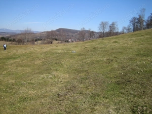 Vand Teren in Curtea de Arges suprafata 5000mp - imagine 4