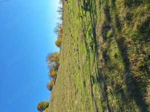 Vand Teren in Curtea de Arges suprafata 5000mp - imagine 5