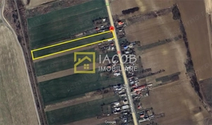 Teren 5000 mp, Dumbrava - Itesti, jud. Bacau, la E85 - imagine 3