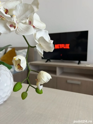 Apartament regim hotelier - Ared Kauffland - imagine 4