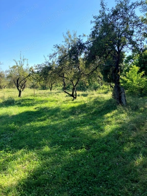 Teren intravilan de vanzare - imagine 2