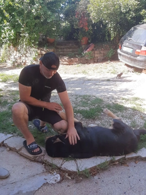 Caut ca șofer sa ma angajez am B