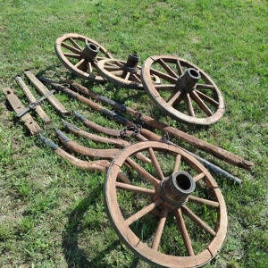 Vand car decorativ de gradina si portita pridvor - imagine 2