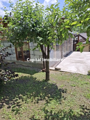 Casă 3 dormitoare la rosu Drajna