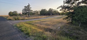 Teren intravilan în localitatea Berini - imagine 9