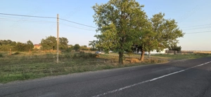 Teren intravilan în localitatea Berini - imagine 5