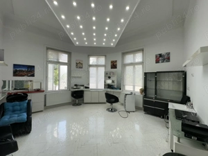 Armenească - Pache Protopopescu apartament in vila arhitectura deosebita - imagine 5