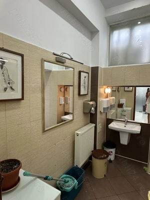 Armenească - Pache Protopopescu apartament in vila arhitectura deosebita - imagine 13