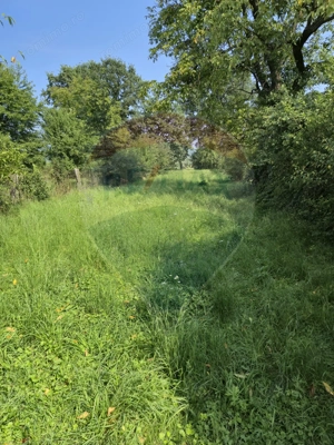 Casă / Vilă cu 4 camere de vânzare - imagine 7