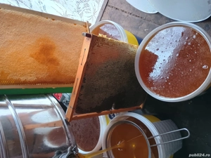 miere poliflora 20 lei 