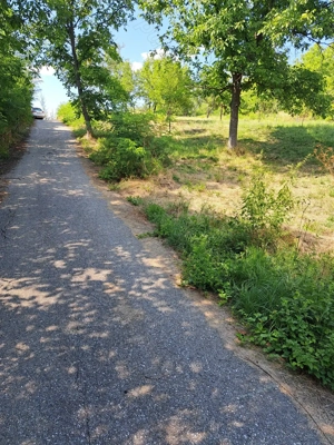 Teren 1127 mp   Intravilan  Paușesti Maglași  - imagine 5