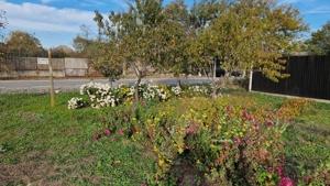 Teren Intravilan Drajna Nouă 1120m - imagine 6