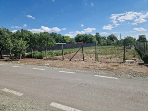 Teren Intravilan Drajna Nouă 1120m - imagine 3