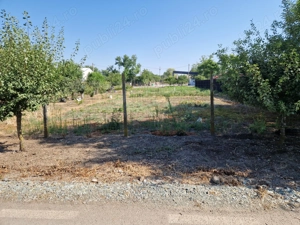 Teren Intravilan Drajna Nouă 1120m - imagine 5