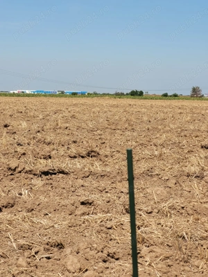 Vanzare teren com Joita , sat Bacu, jud. Giurgiu - imagine 2