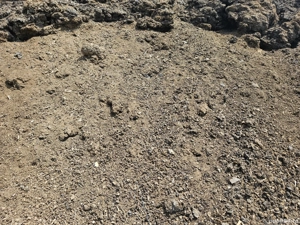 Balegar de oi, capre  - imagine 2