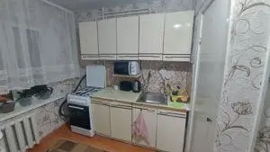 Apartament 1 camera in zona Blascovici  - imagine 4