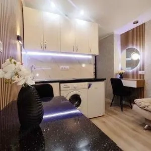 Apartament cu 1 camera in zona Take Ionescu - imagine 3