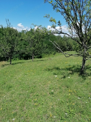  Teren Dealu Mare HD - imagine 6