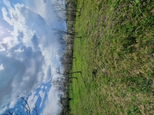 Teren intravilan Coada Malului - imagine 5