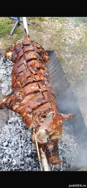 porc la protap cu condimente si protap de inchiriat - imagine 2